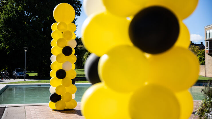 Närbild på gula, svarta och vita ballonger utanför Östergötlands museum.